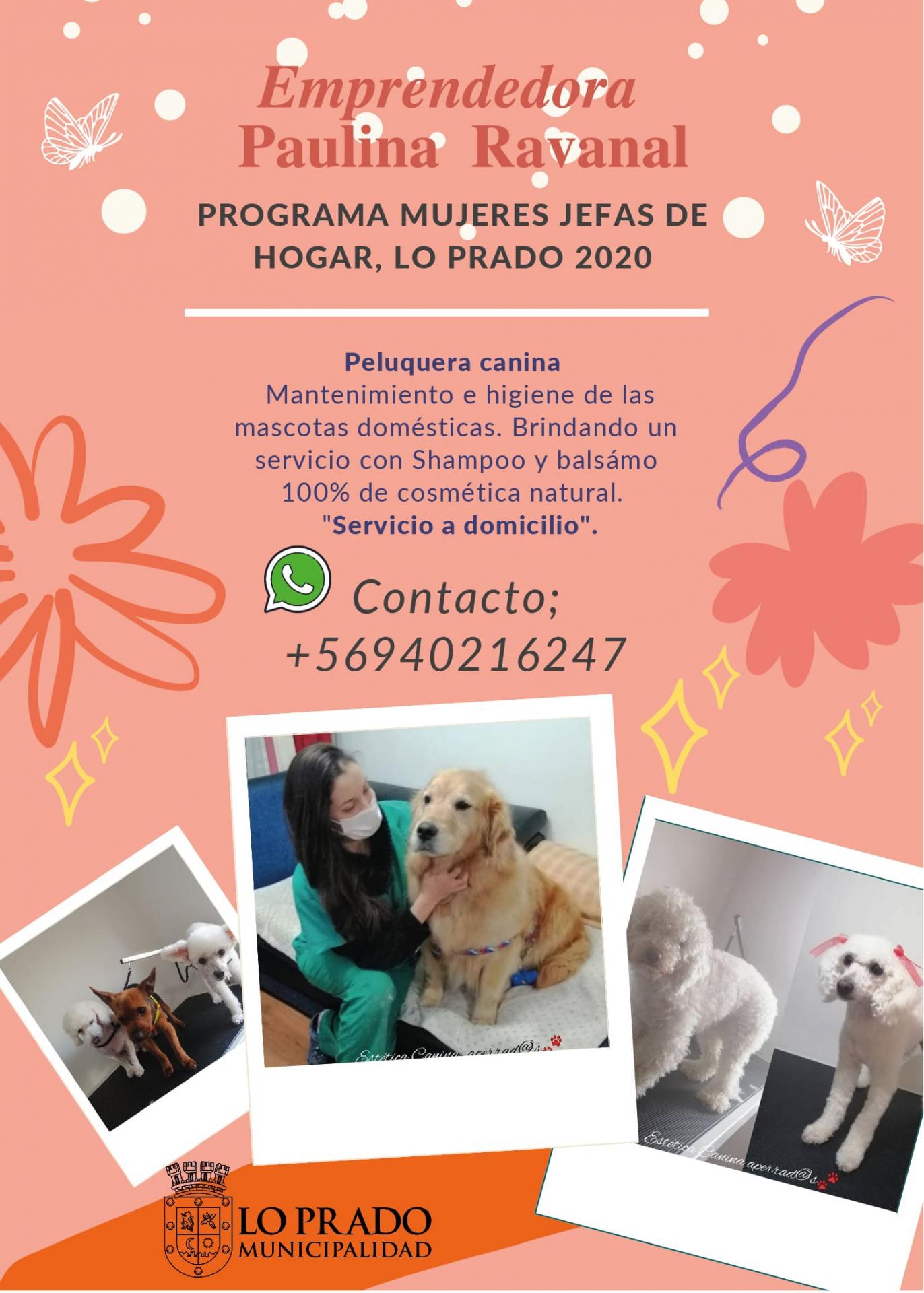 CATALOGO DIGITAL mujeres jefas de hogar-17-min